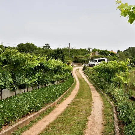 Casa vacanze House Gioia Cristina Labin (Istria)
